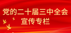 党的二十届三中全会宣传专栏